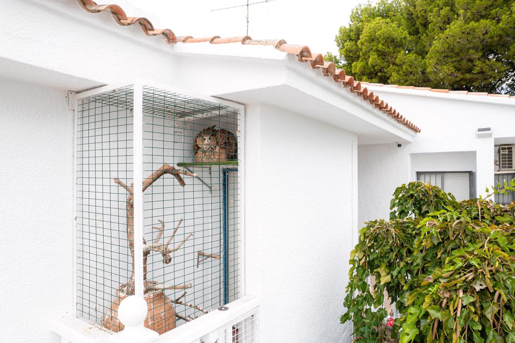 Villa Vintage Les Cases d'Alcanar Exterior foto
